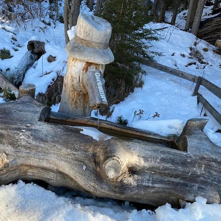 Ferienwohnung 4 Personen Alleinlage Am Wald Naehe Skigebiet Hochzeiger Jerzens Extérieur photo